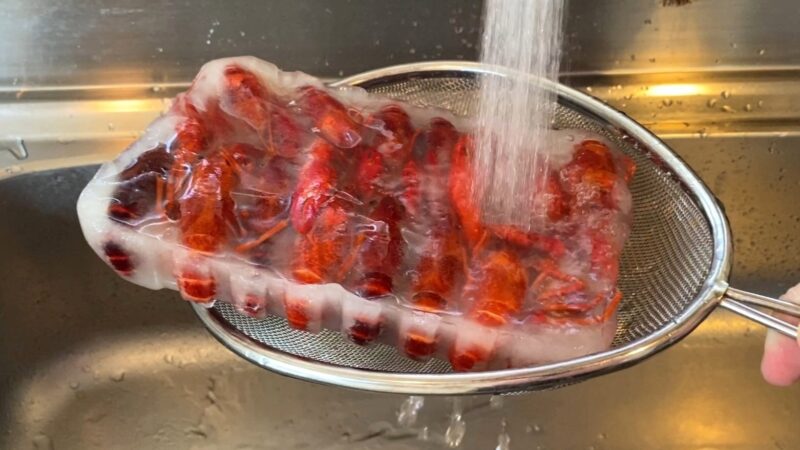 冷凍ザリガニを流水で解凍している様子。ザルに乗せたまま水をかけて溶かしている。
