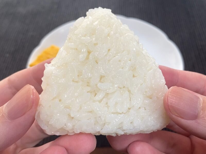 両手で塩むすびを持ったアップ。ふっくらもちもちした米粒の質感が分かる